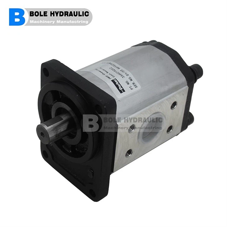 Ronzio Gear Pump Group 1
